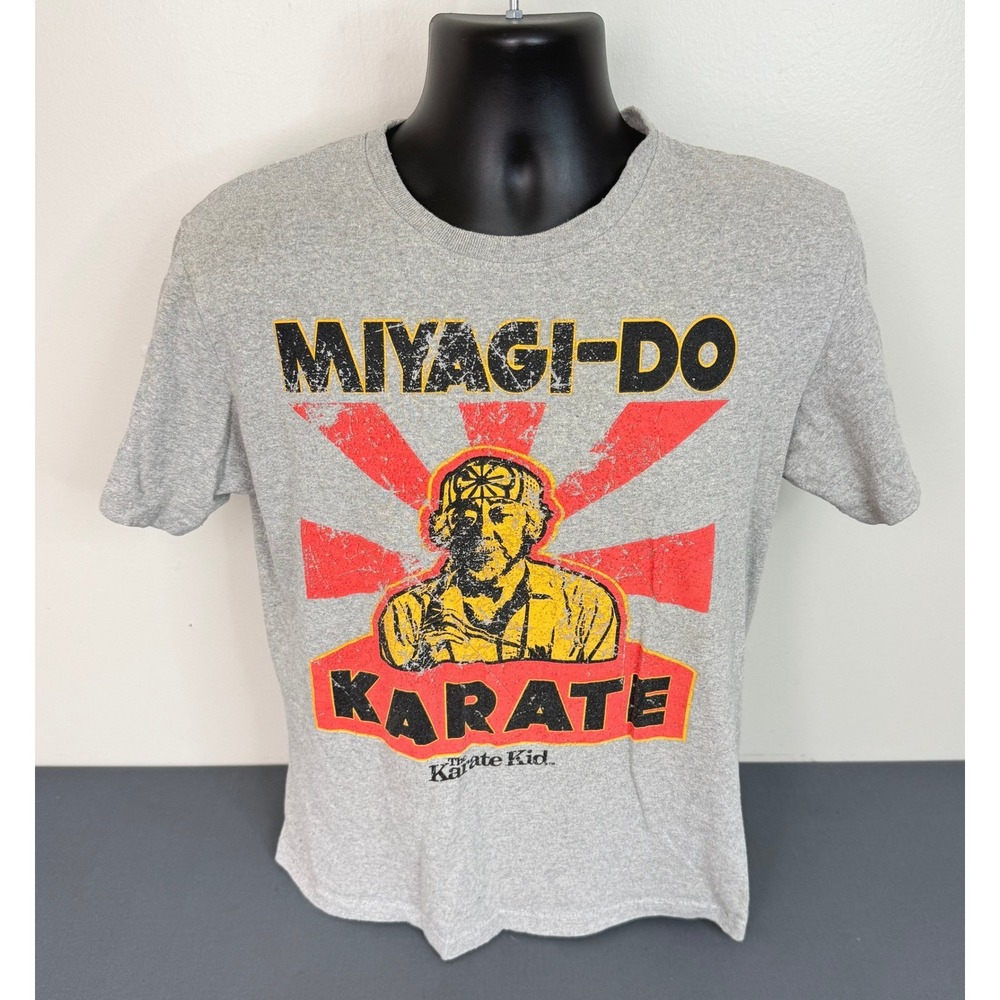 Chemistry Men's Miyagi Do Karate Kid Graphic Short Sleeve T-Shirt Gray Medium
